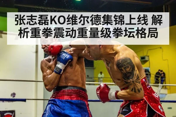 张志磊KO维尔德集锦上线 解析重拳震动重量级拳坛格局